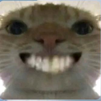 甜瓜子牢大