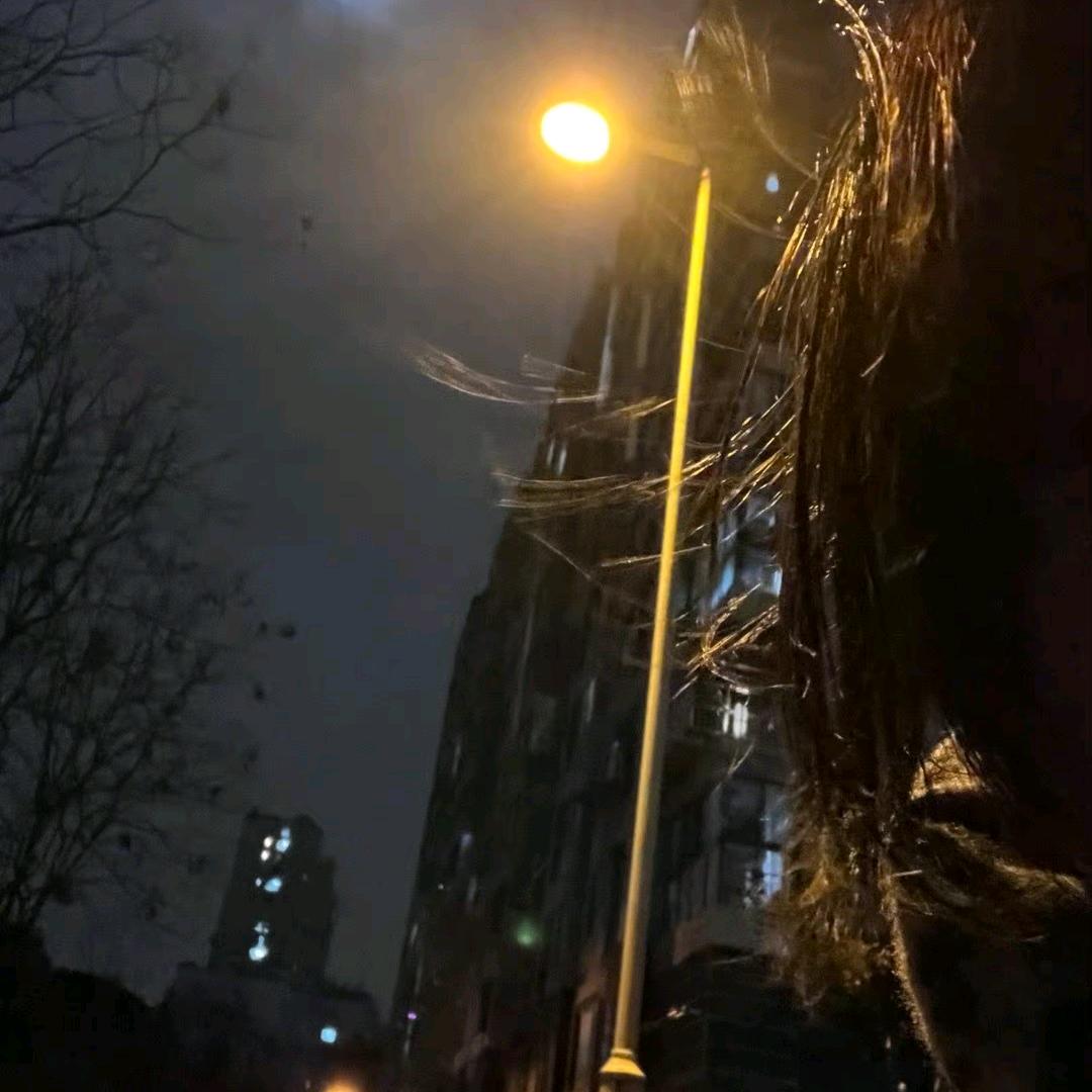 廾匸丸犊子啦