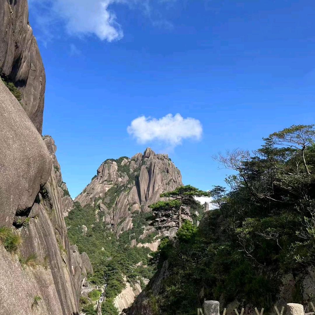 喜阳阳