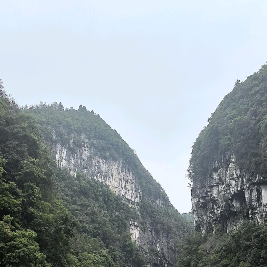 拾荒