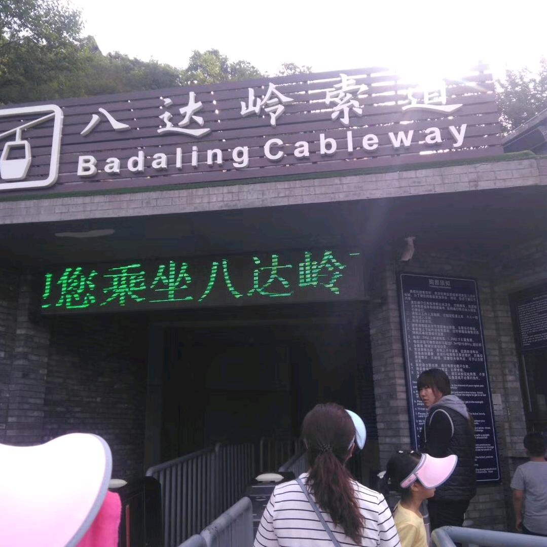 追花寻密