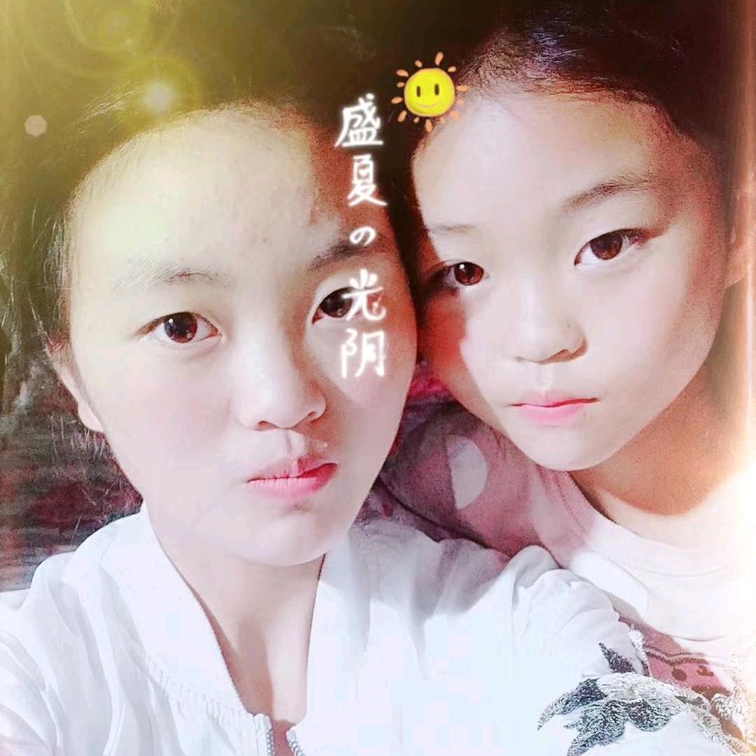 一只燕子的世界
