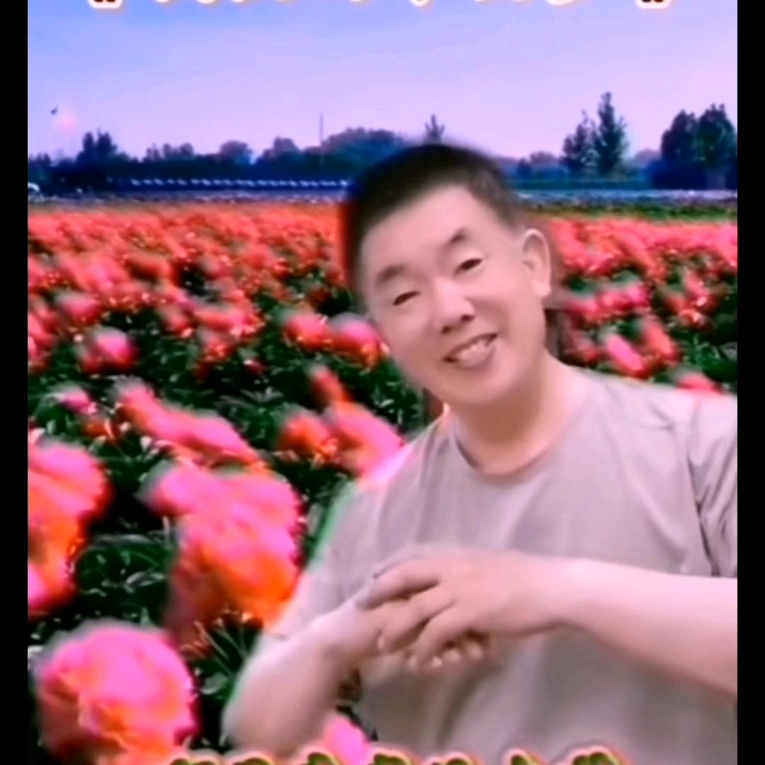 dynhsd3daj