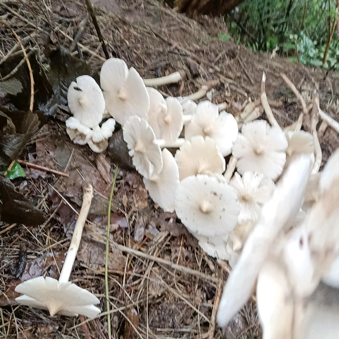 不聊天