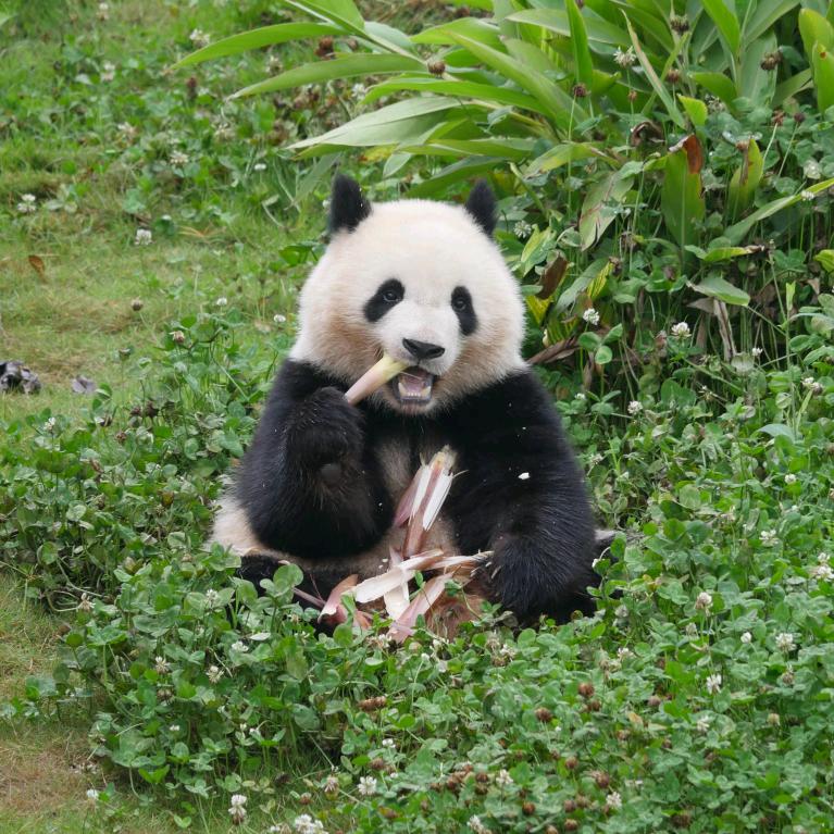 笑笑头像