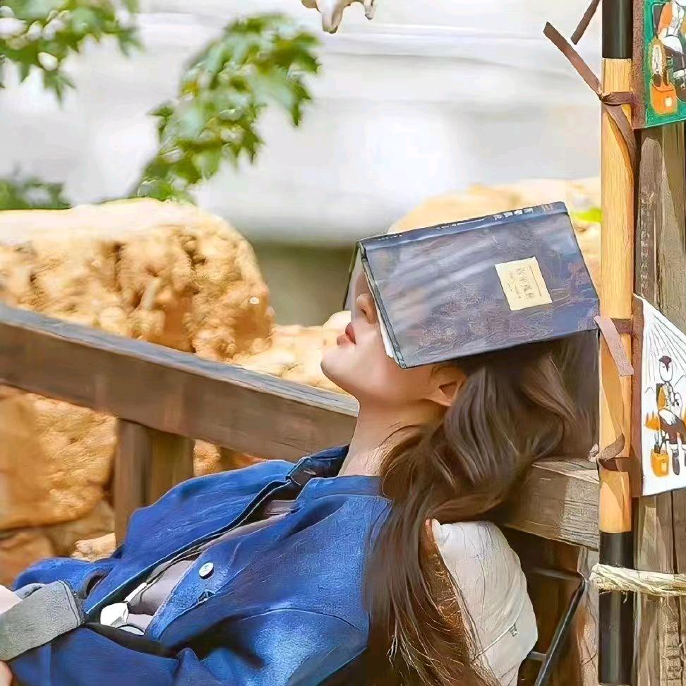 滋补黑糯米酒糟（醪糟）