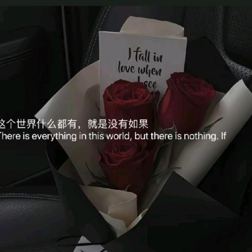 北辰