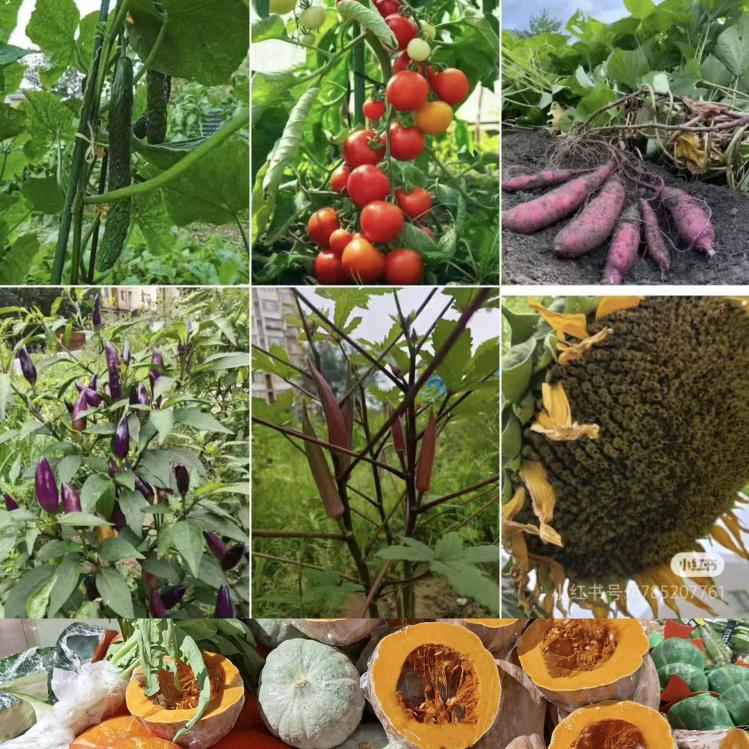 绿色农庄园农副产品批发零售