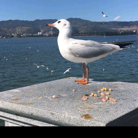 冬季的雨~~晚风吹