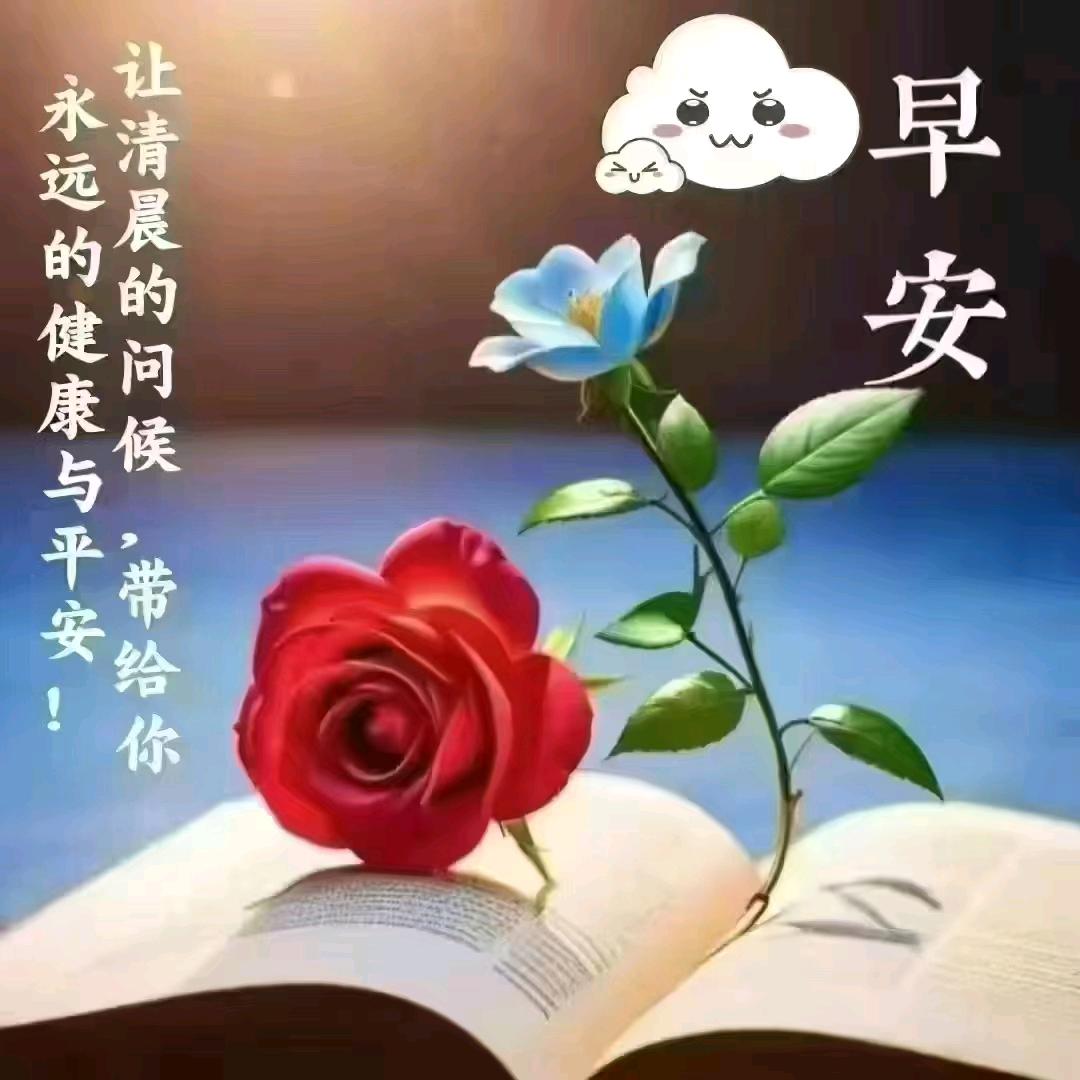 花开富贵吉祥如意