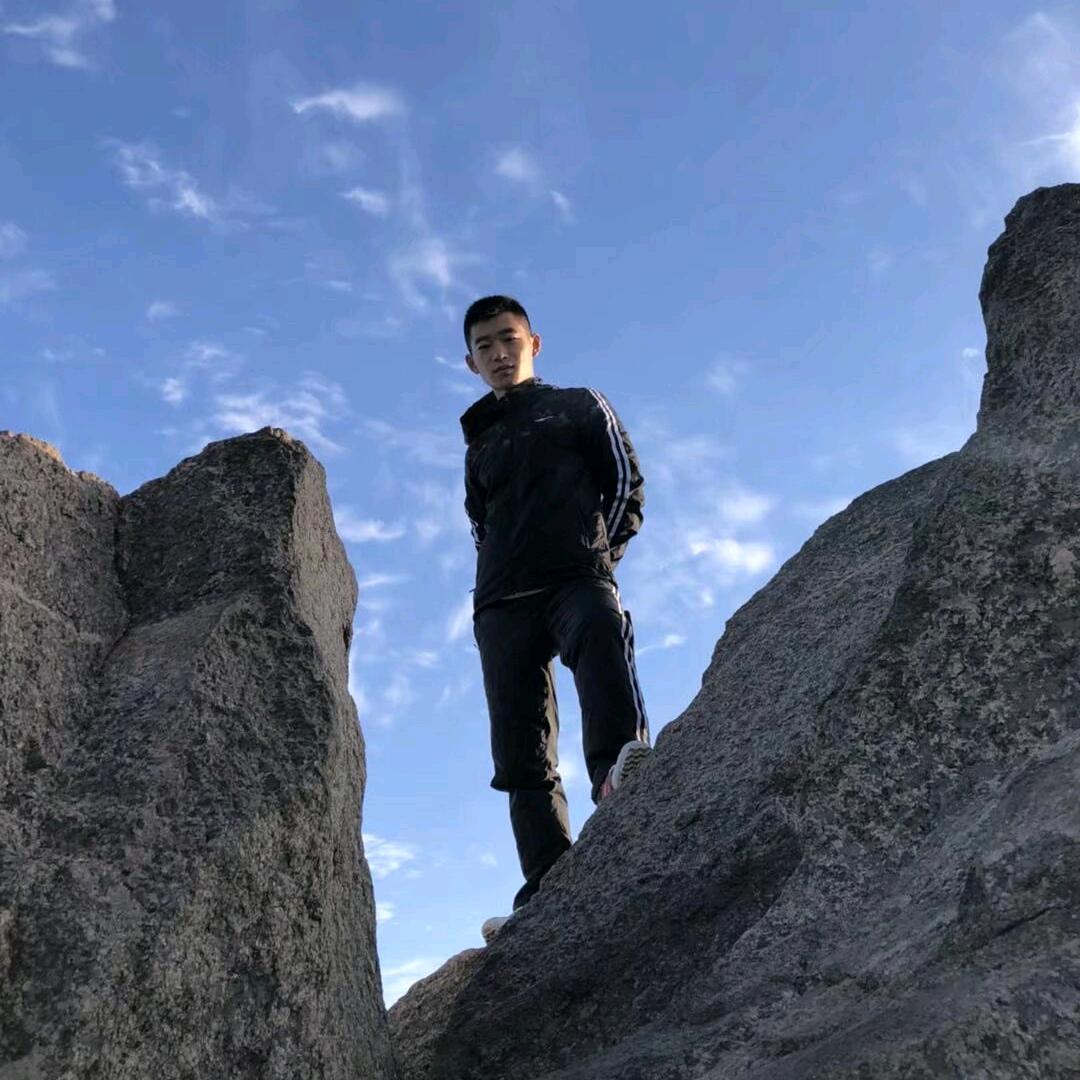 扬名的鹏