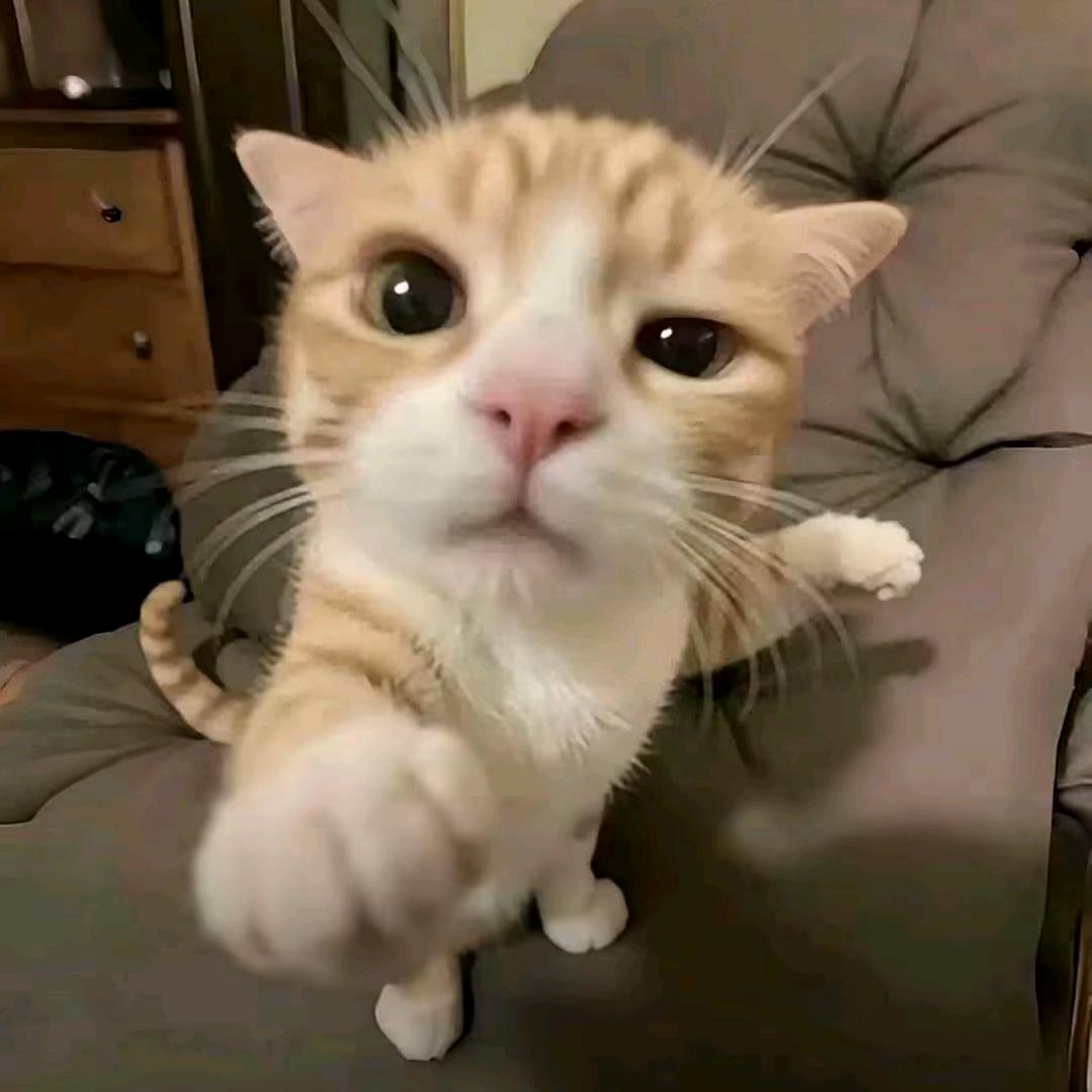 ʰᵉˡˡᵒ𝙠𝙞𝙩𝙩𝙮