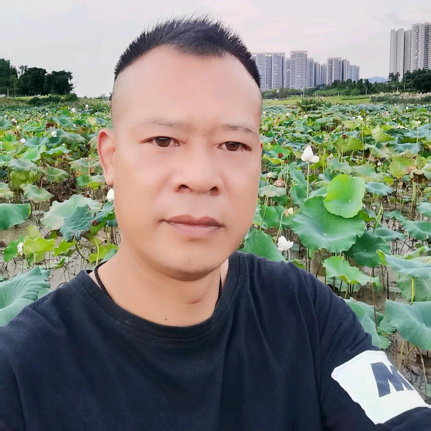 与狼共舞戒烟途中