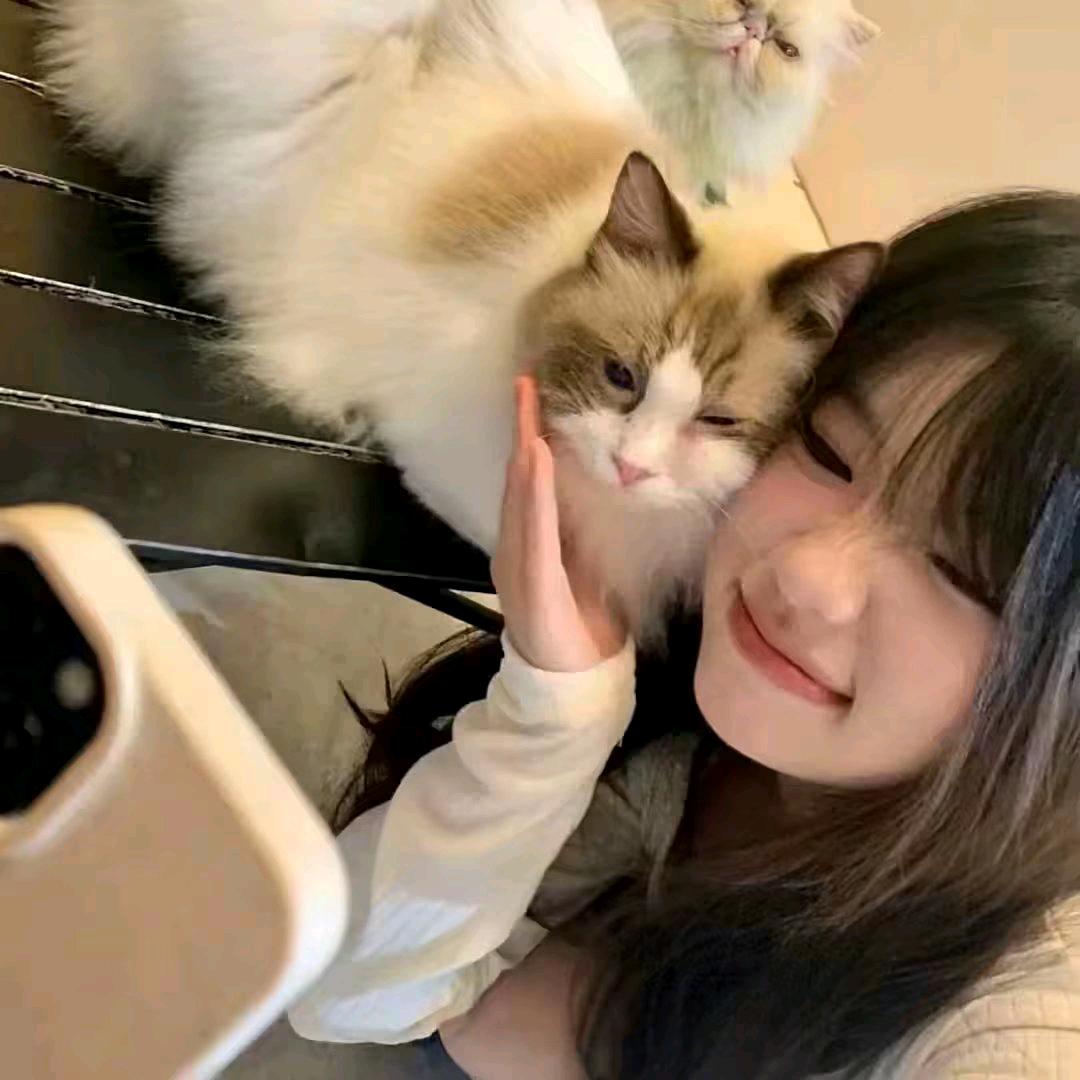 貌美如花红烧肉
