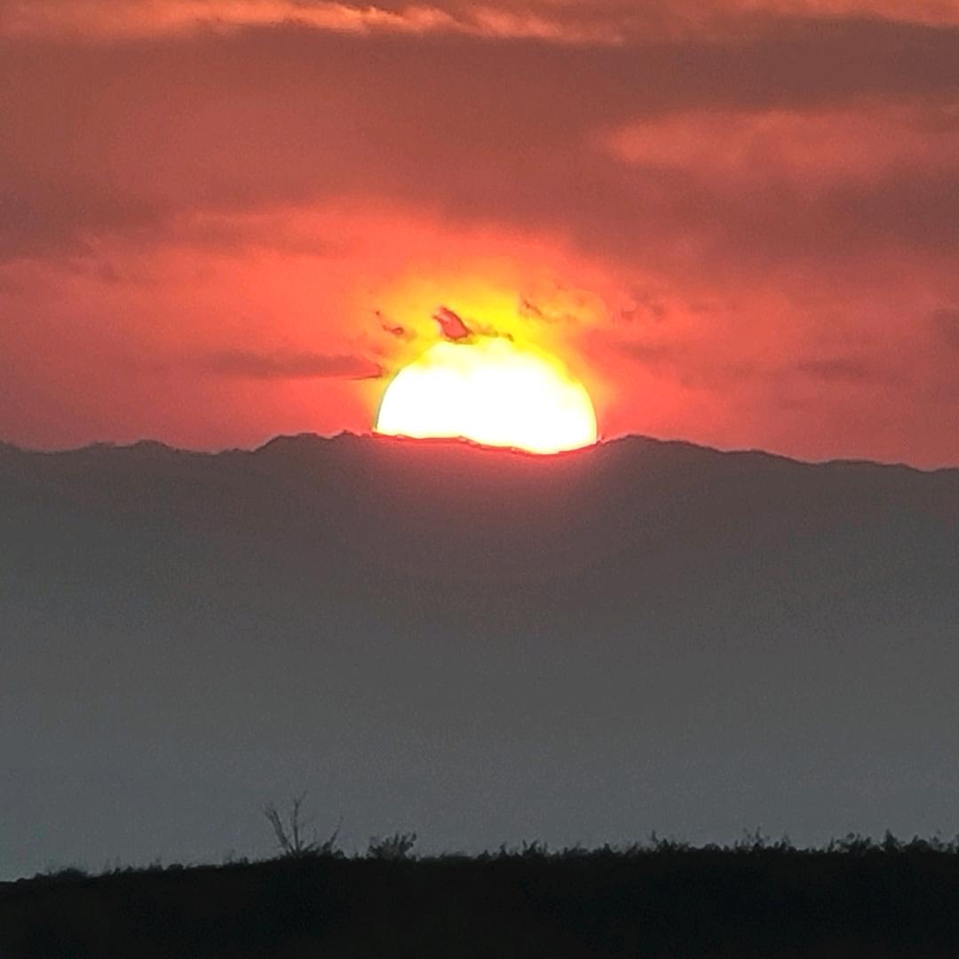 小陇山  孙高峰