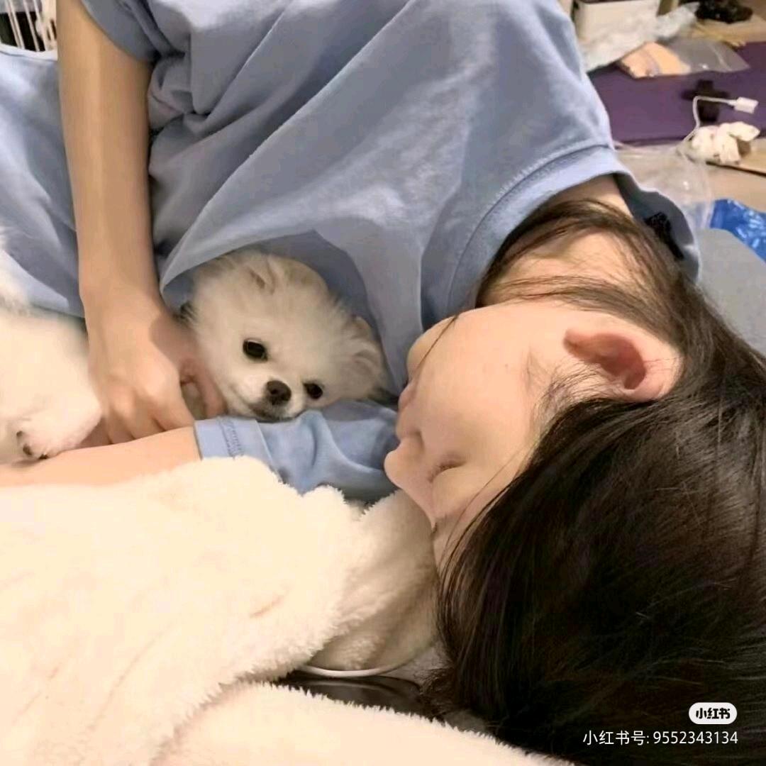 烧麦兜兜