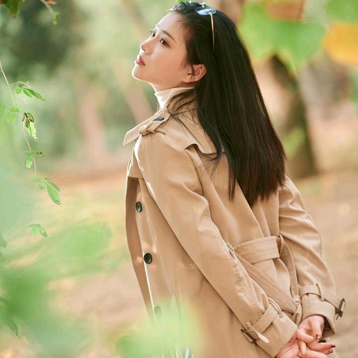 锦鲤
