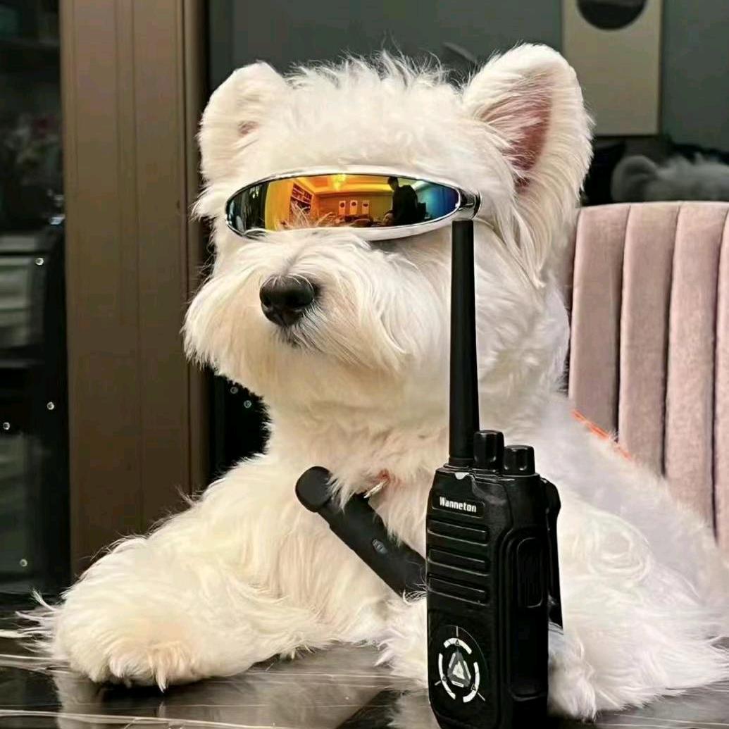 lsm（前职业ad）