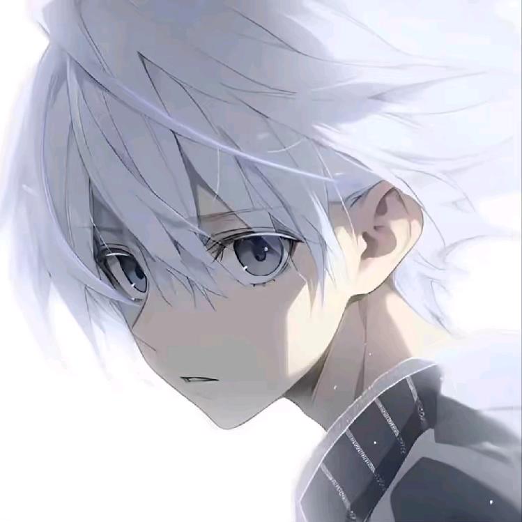 棉杨咩