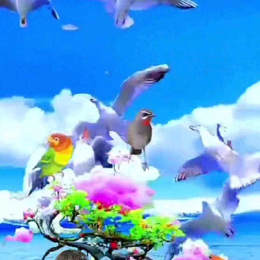 我不是大傻
