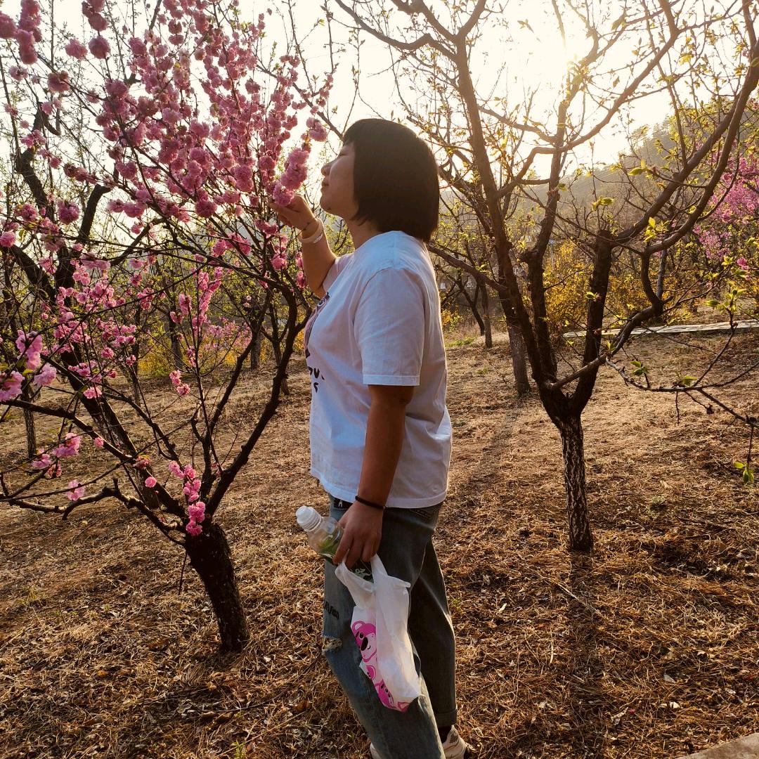 鑫鑫e8ya