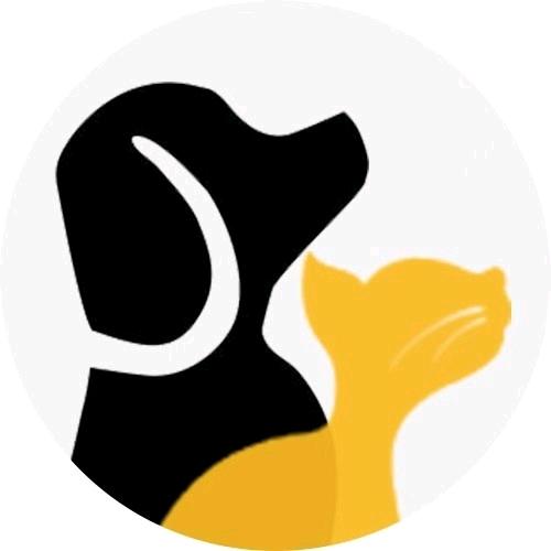 氧迪宠物用品企业店