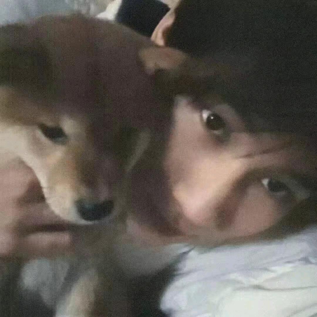 有毒