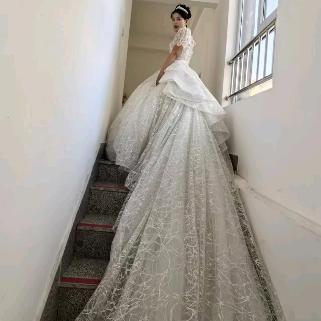 💕💕白鸽💕💕