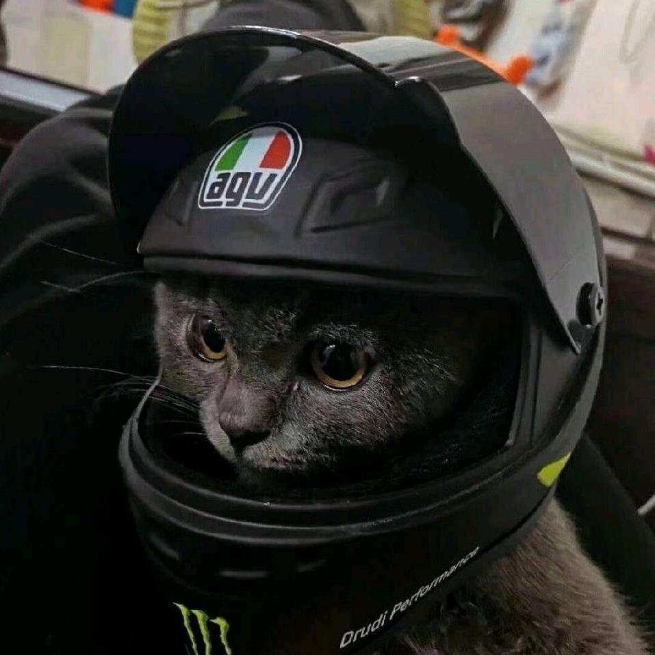 栎