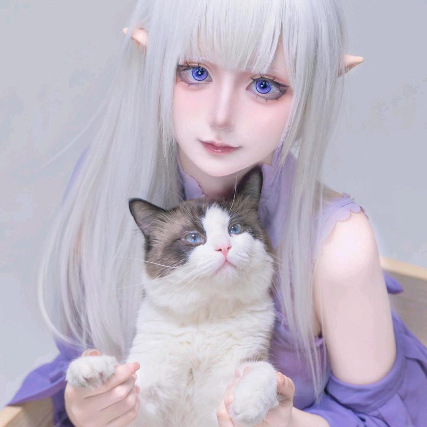 月半猫猫