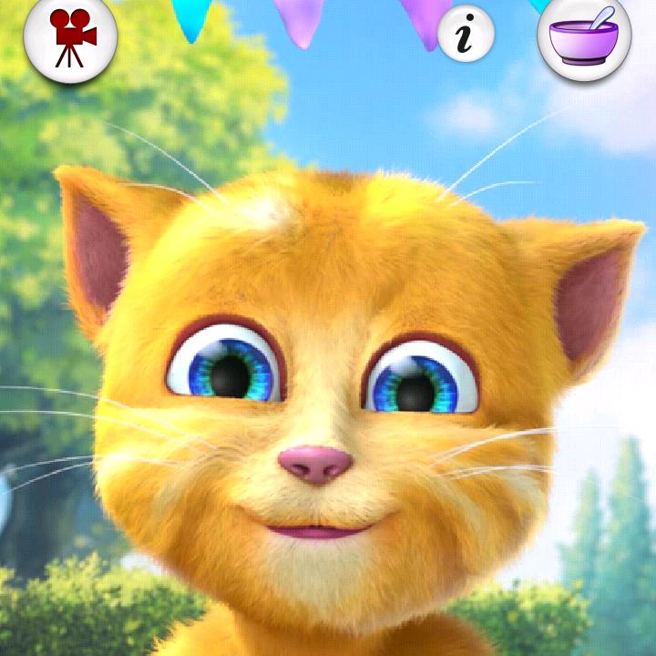 黄金猫