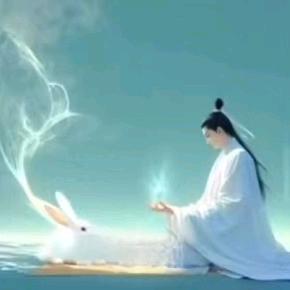 @关注m9(´∀｀)就是你！