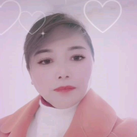 四季花开