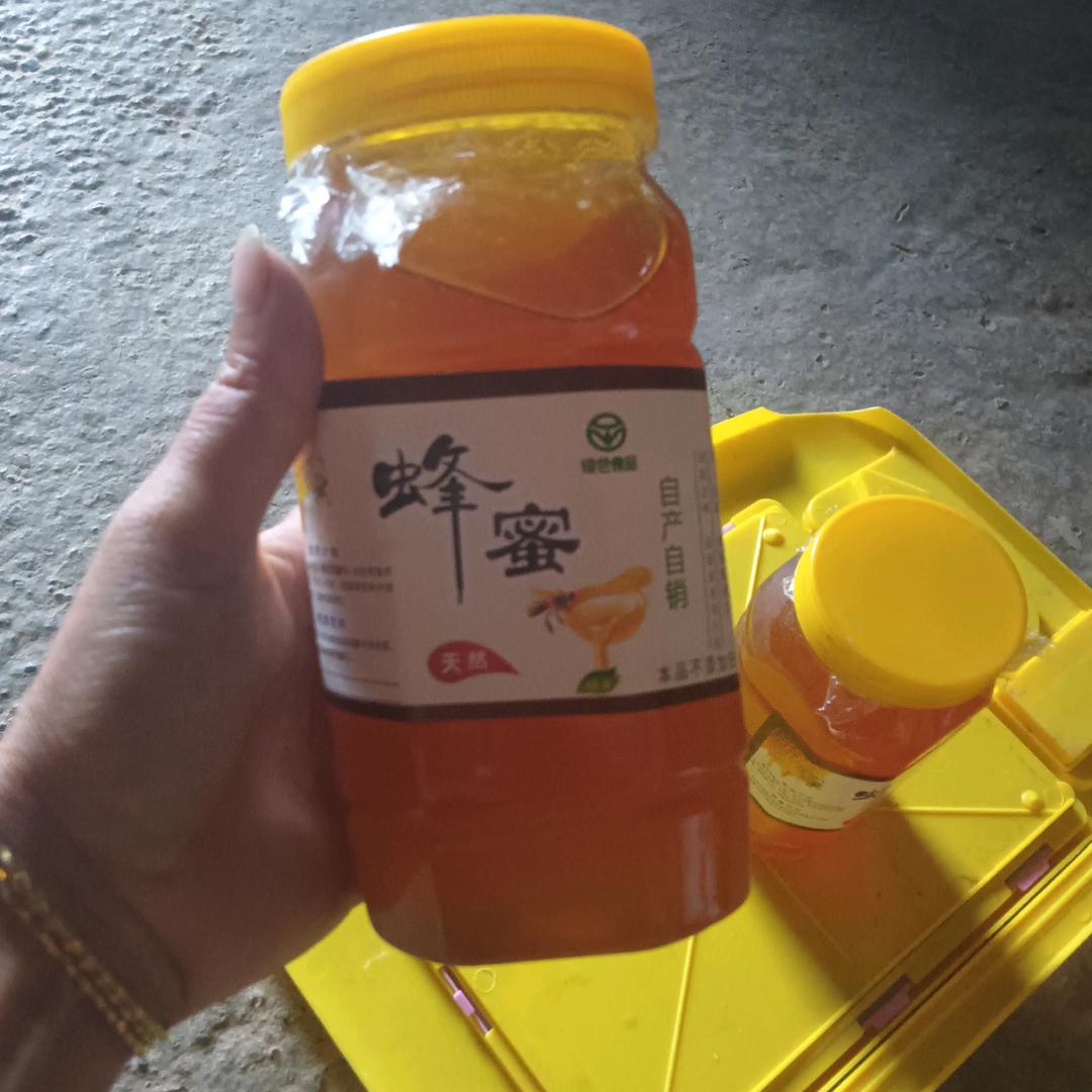 小猪猪🐷