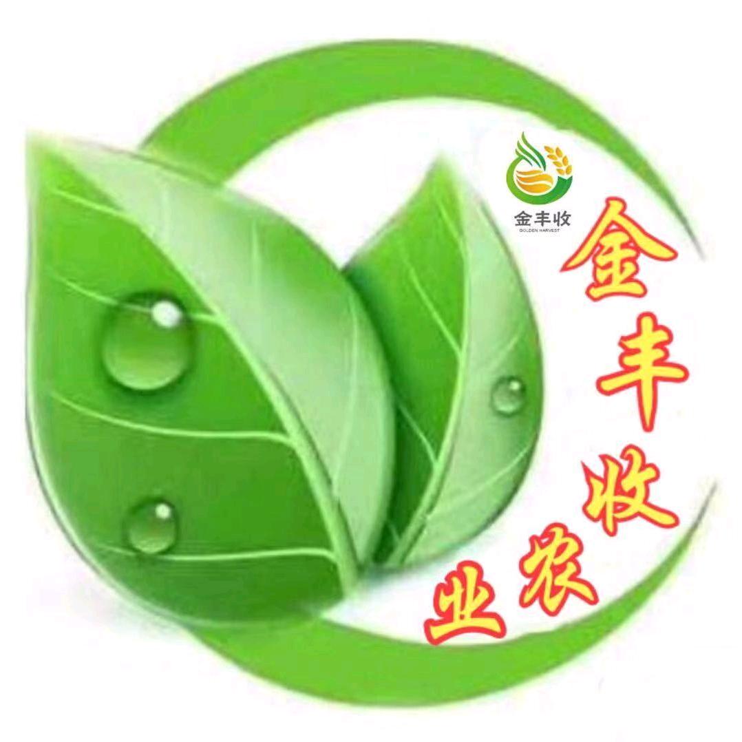 金丰收-小庞