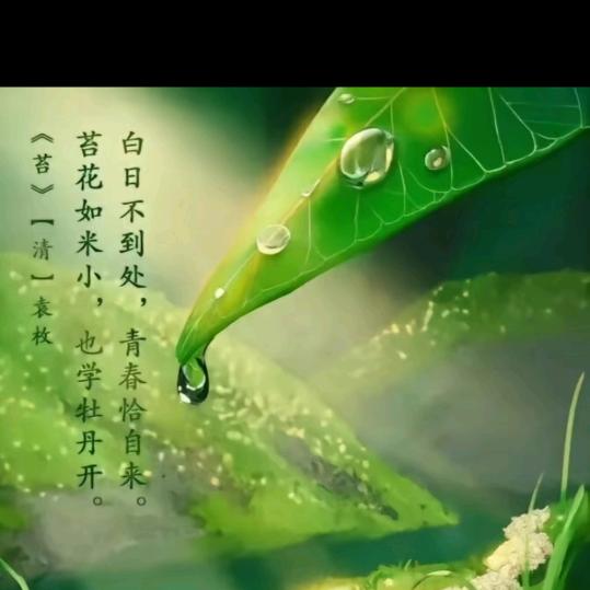 ღ᭄ꦿ✰军꧔ꦿ᭄✮