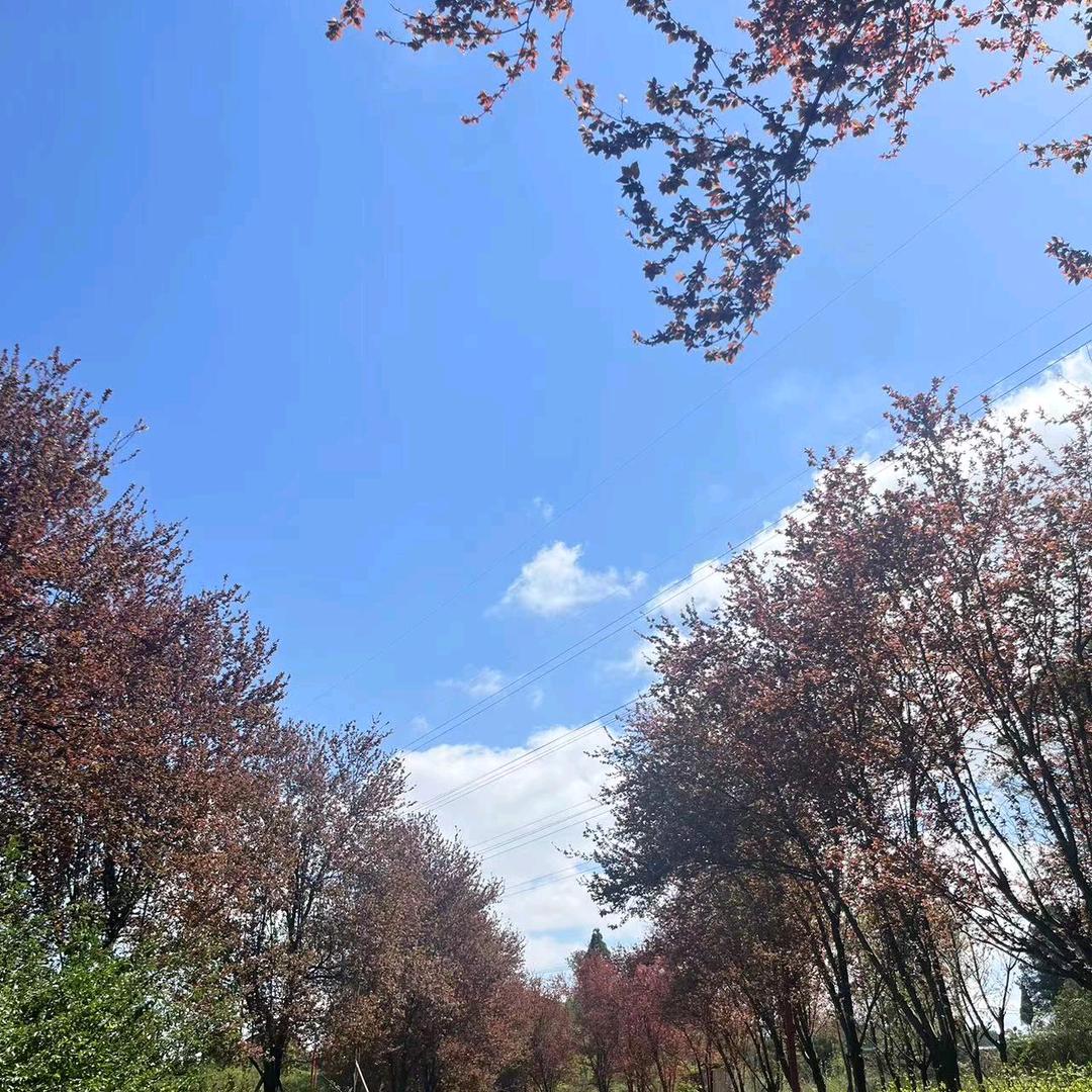 浠水 💋梦梦