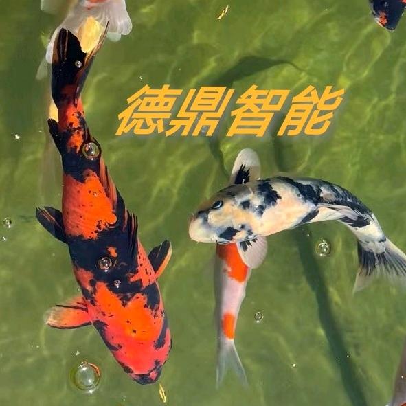 德鼎智能鱼池过滤转鼓微滤机