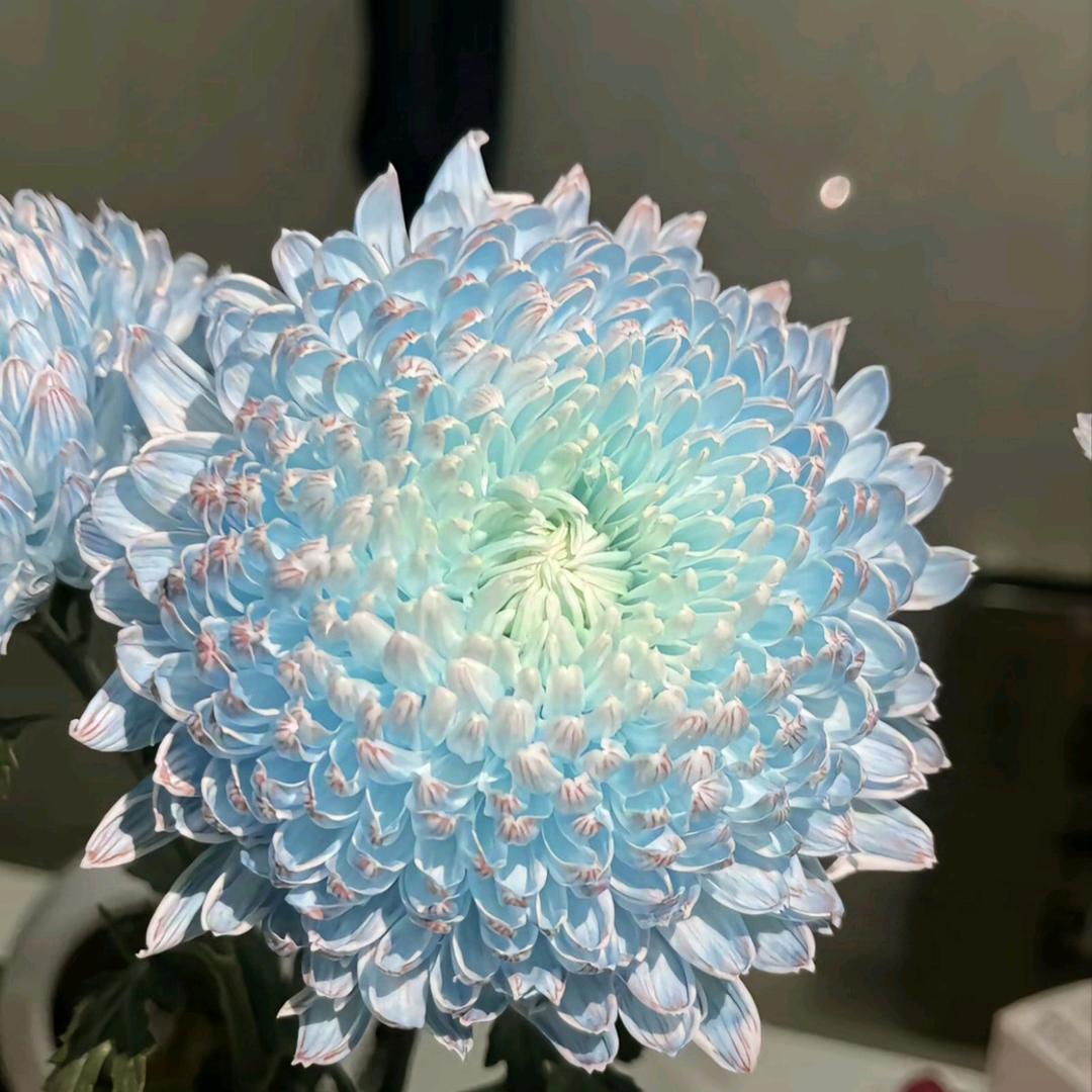 佘于夏春