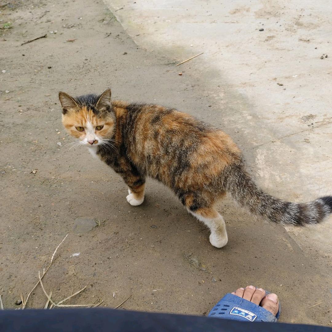 ✨塔姆的味道✨🍓