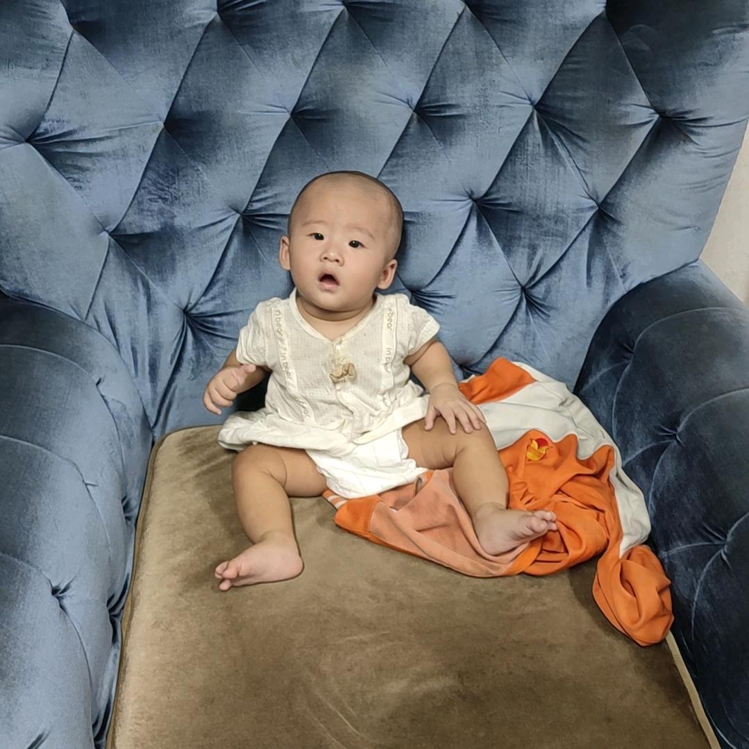 佛山全佳泓木纹专家