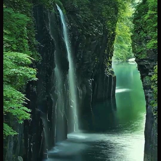 张哥🇨🇳闯非洲