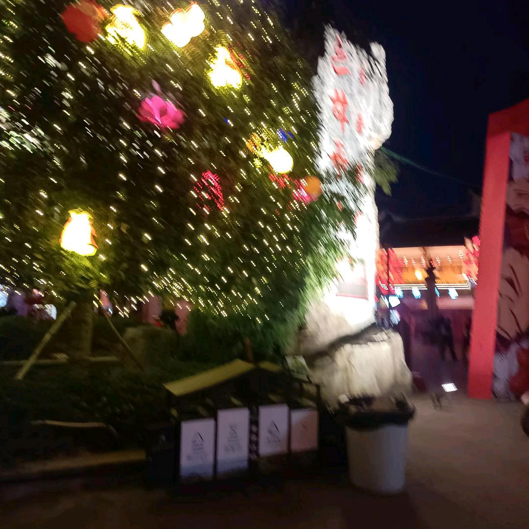 带刺的玫瑰