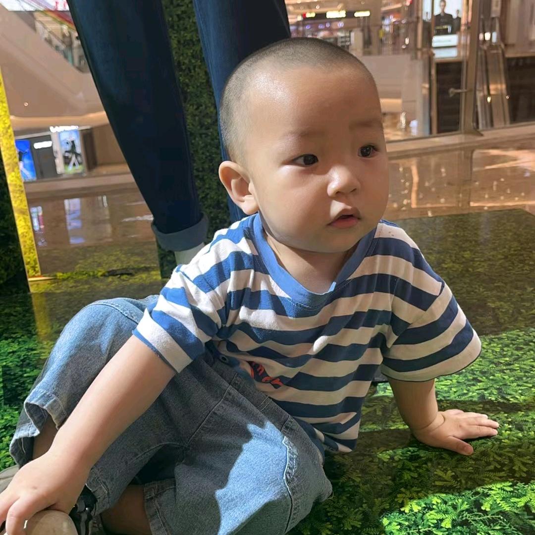 小绵羊