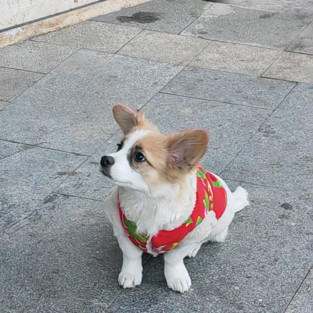 没有原因