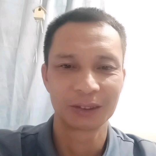 陈波