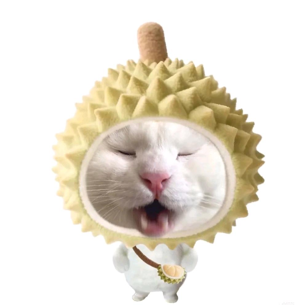 观海落.