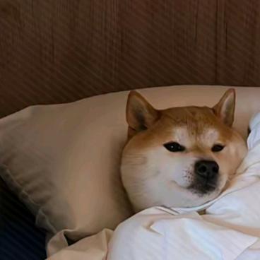 好运常在.