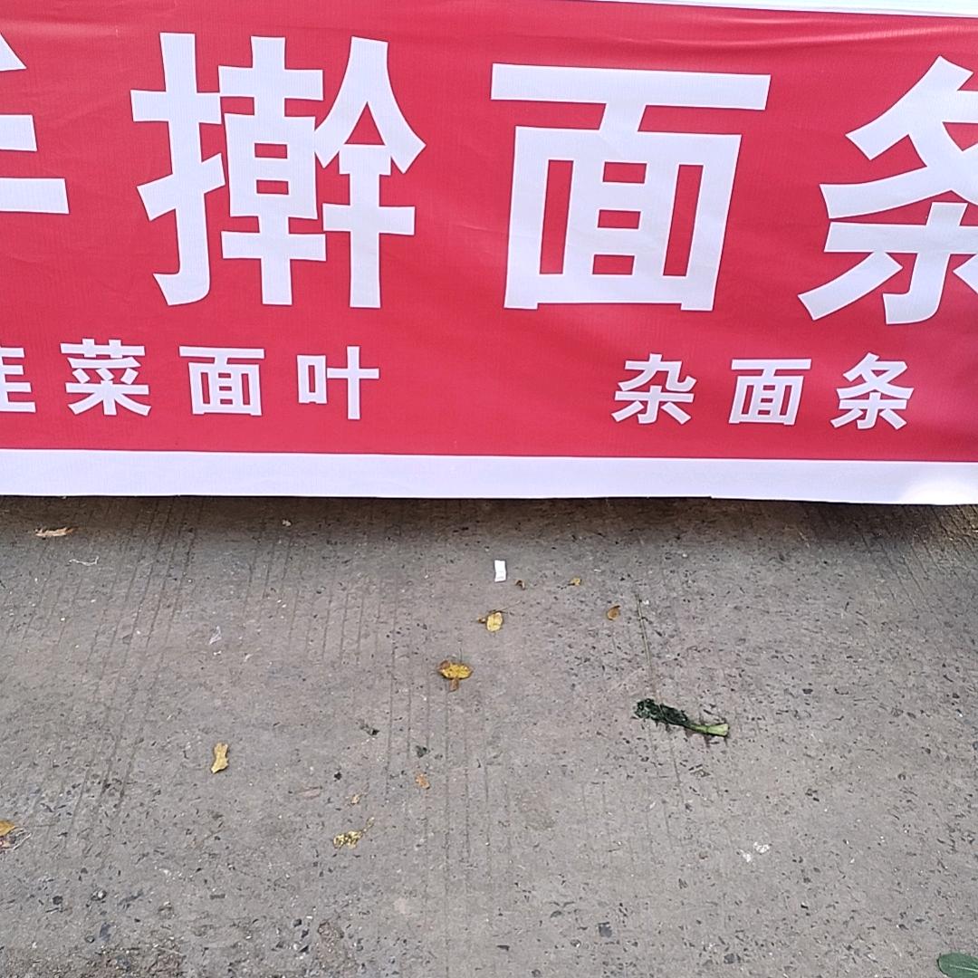 胖敏，手擀面