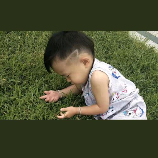 状壮